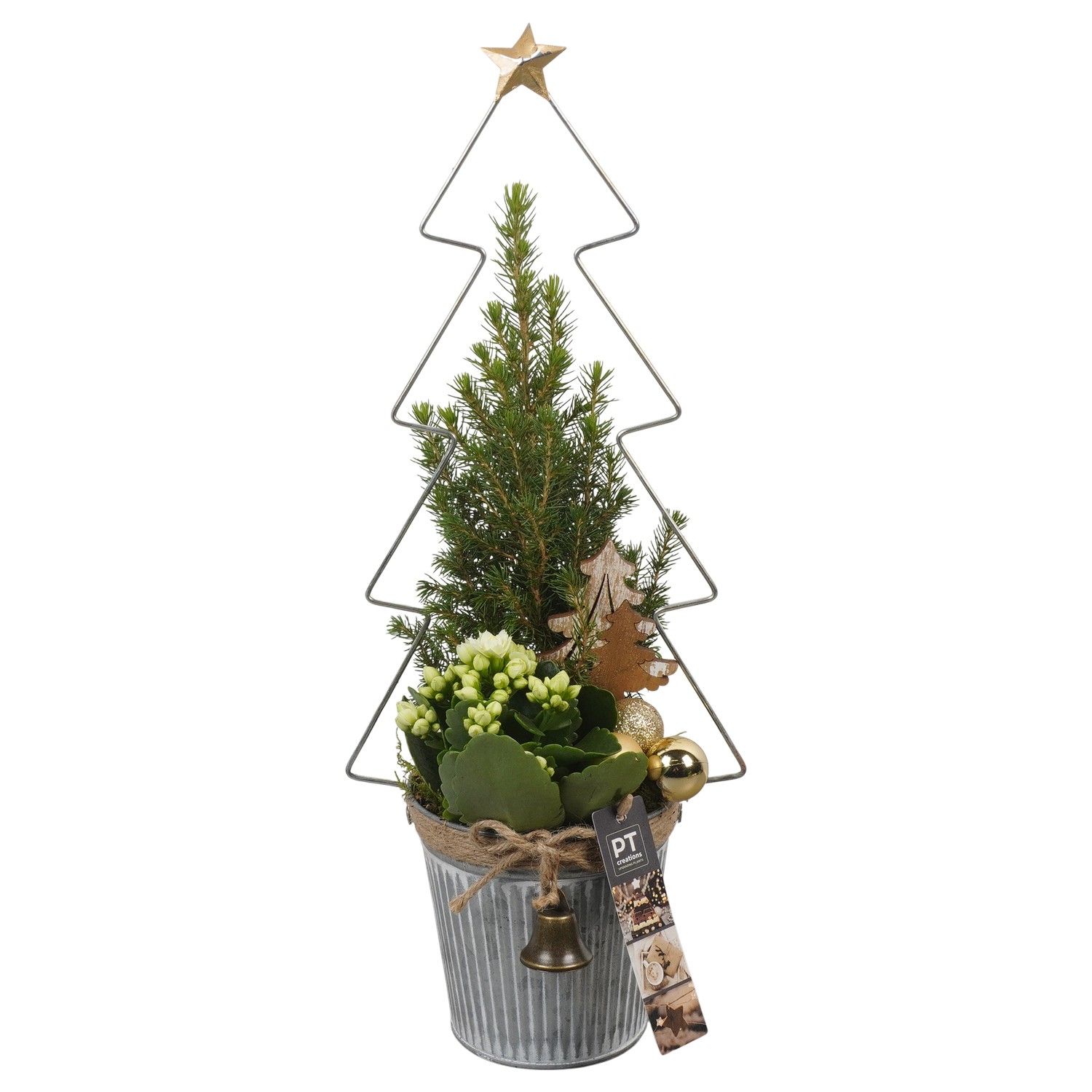 PTCHG5672 Arrangement Christmas Gold in metaal pot, D 13 cm