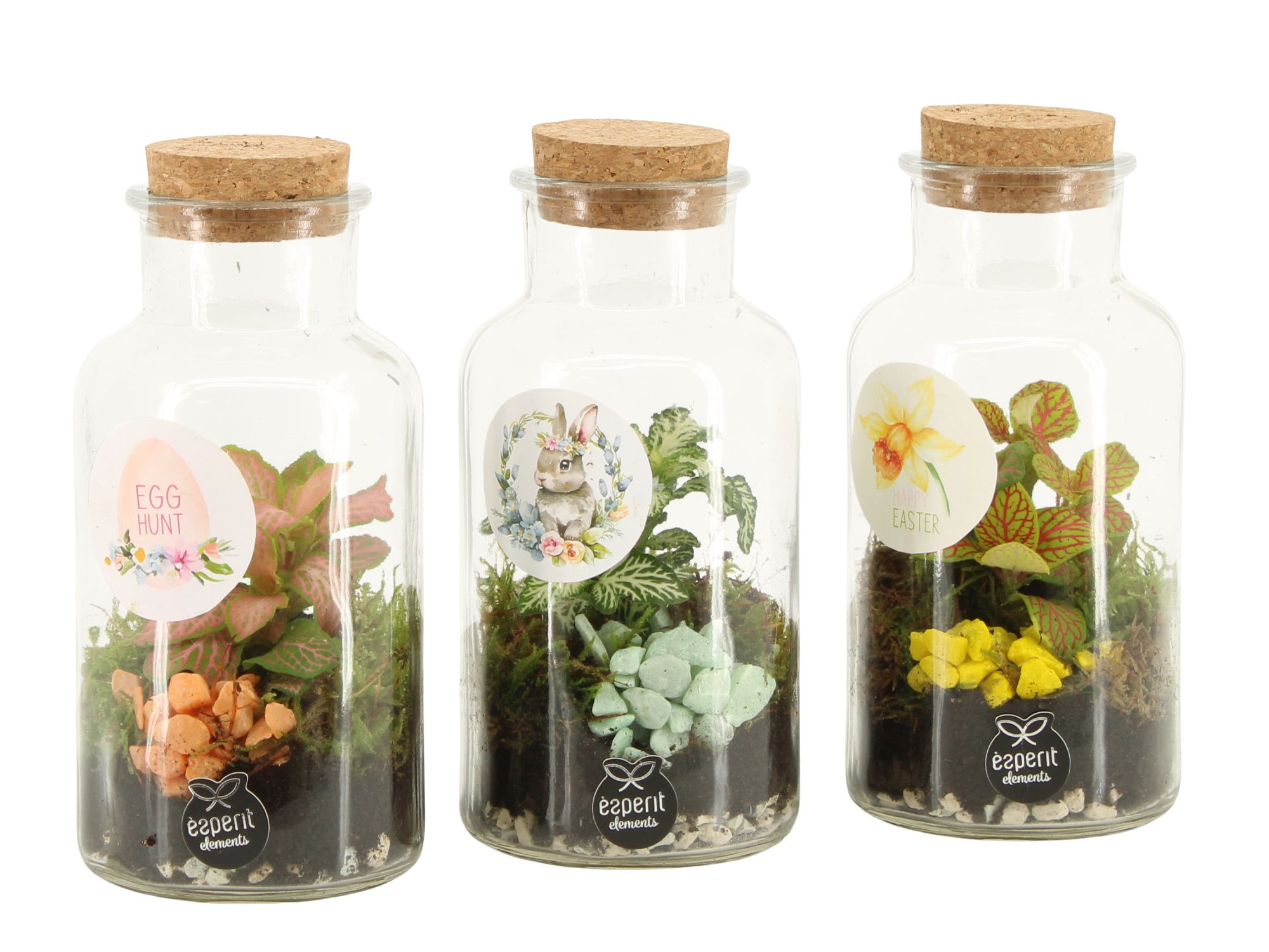 70886: Easter terrarium, D 8