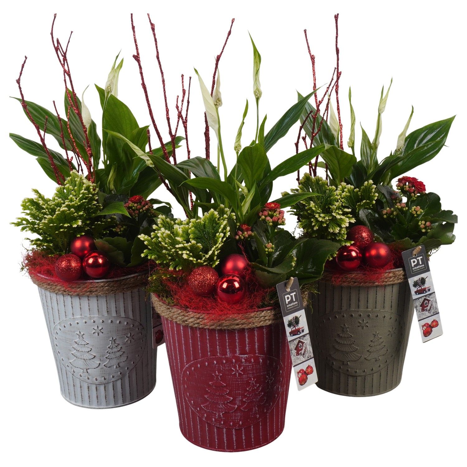 PTCHR7319 Arrangement Christmas Red in metaal pot, D 16 cm