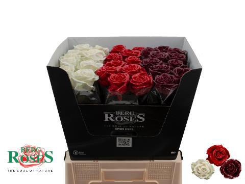 Роза од. Овериг в воске 60, шт.