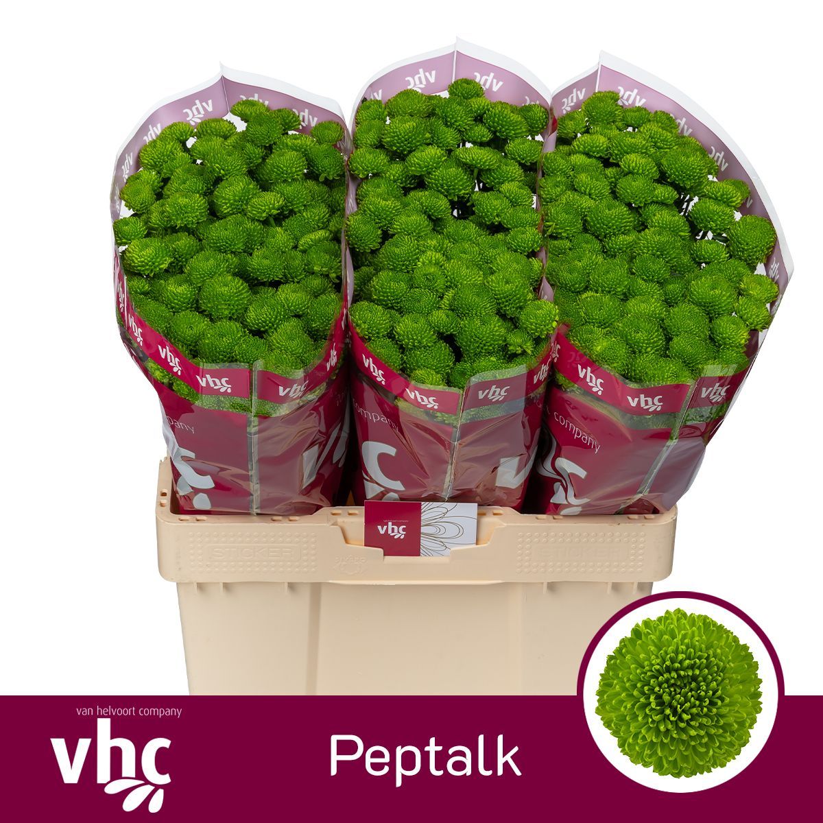 Сантини Пепток (зел.), шт.