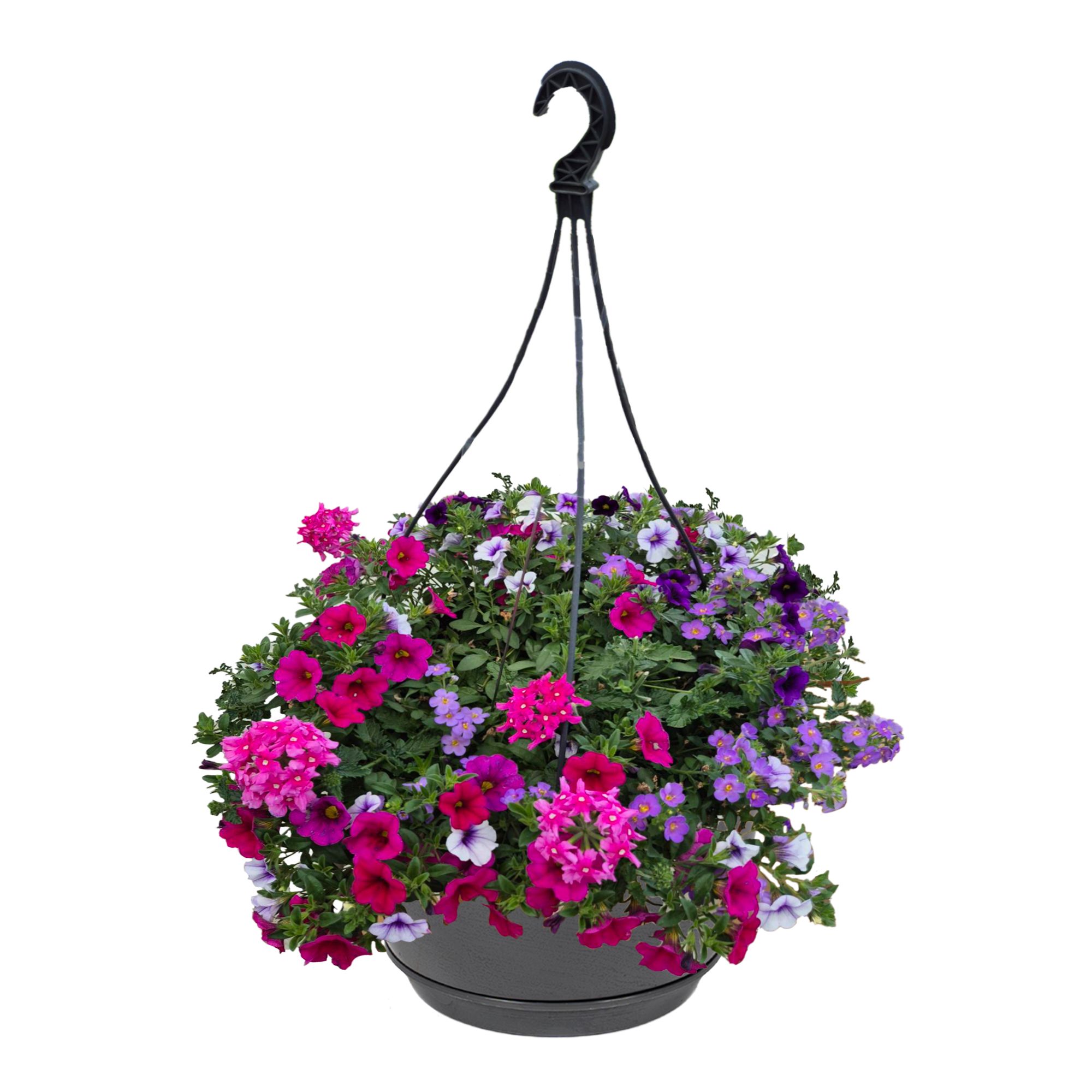 Hpot 4 plants MIXpot mixkar Donkere kleur Zonder hoes, D 25