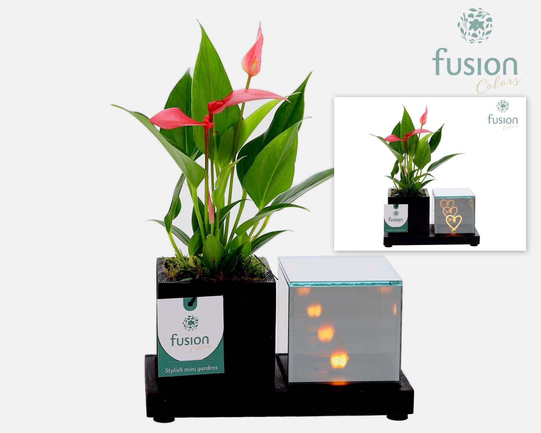 Houten Elegant LED planter met Anthurium, D 19