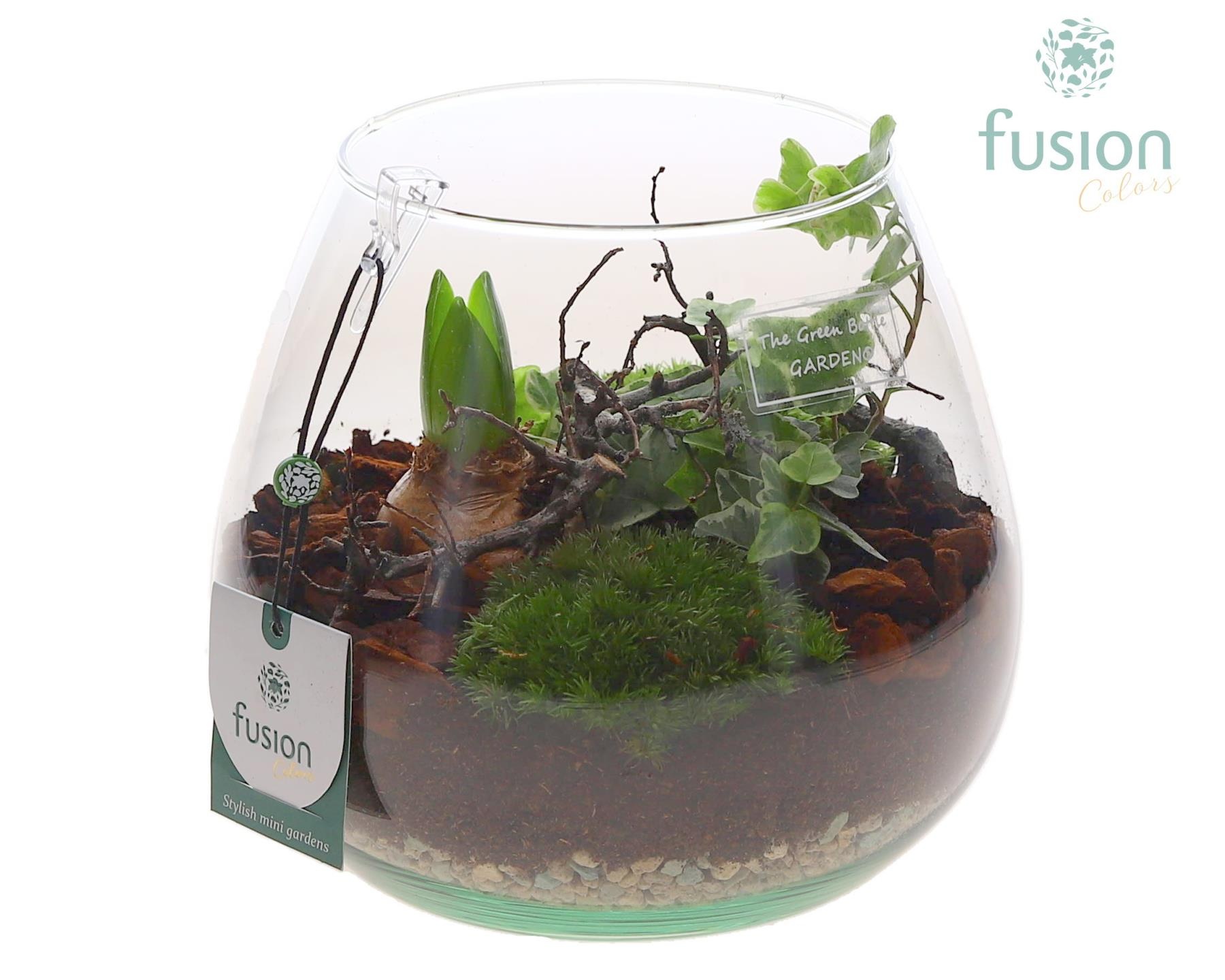 Green Bottle Abby Medium met Hyacint arrangement, D 19