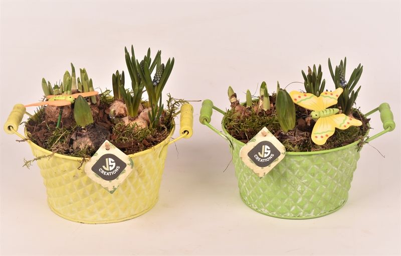 Zink teil met oor groen/geel 18cm, D 17 cm