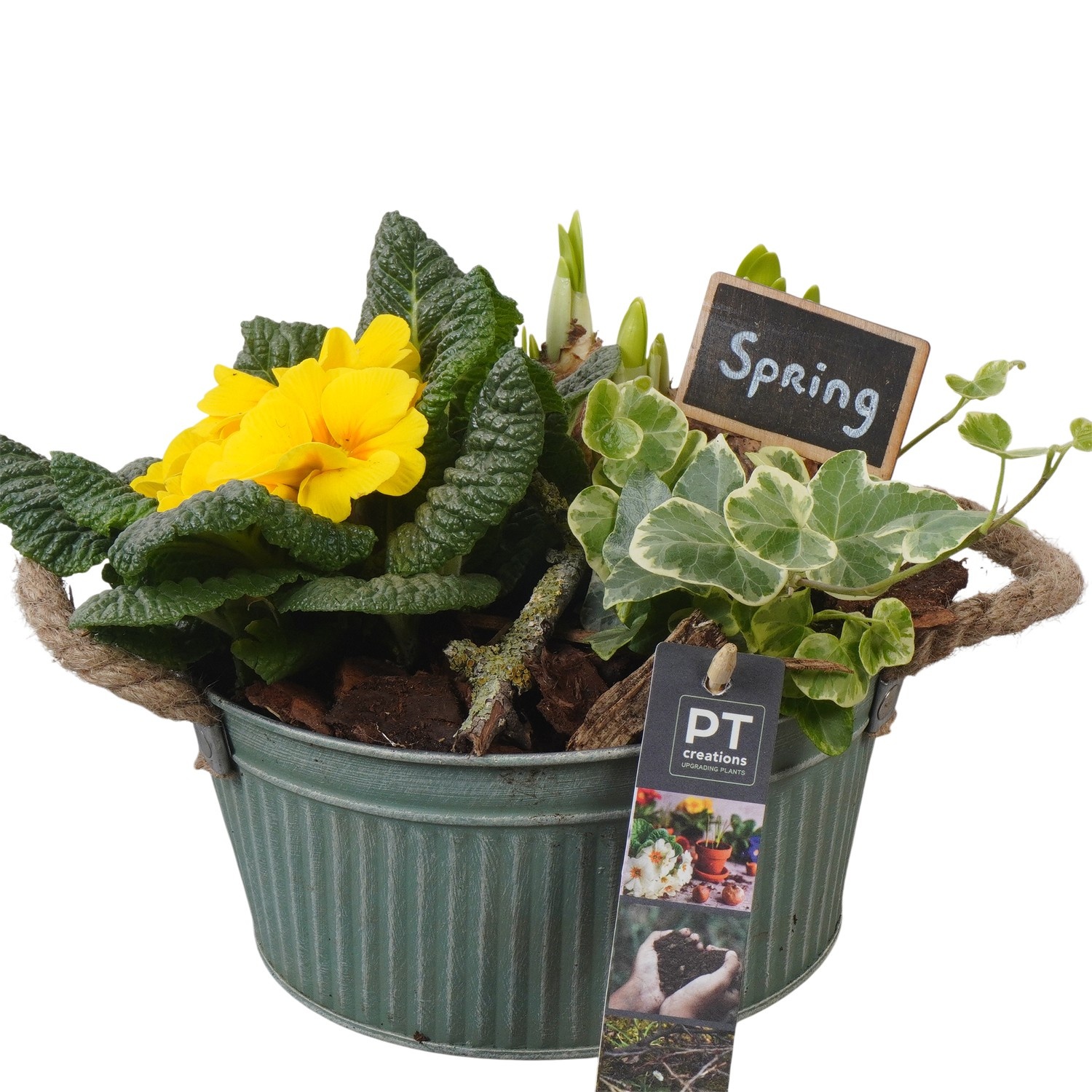 PTBM3778 Arrangement Flower Bulbs Mix in metalen pot, D 19