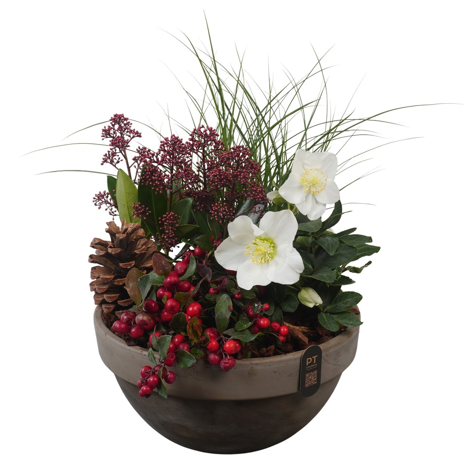 PTWO2859 Arrangement Winter Outdoor in terracotta schaal, D 26