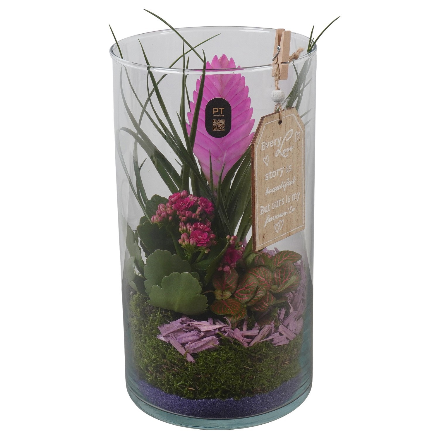 PTIG2721 Arrangement Indoor in glazen vaas, D 16