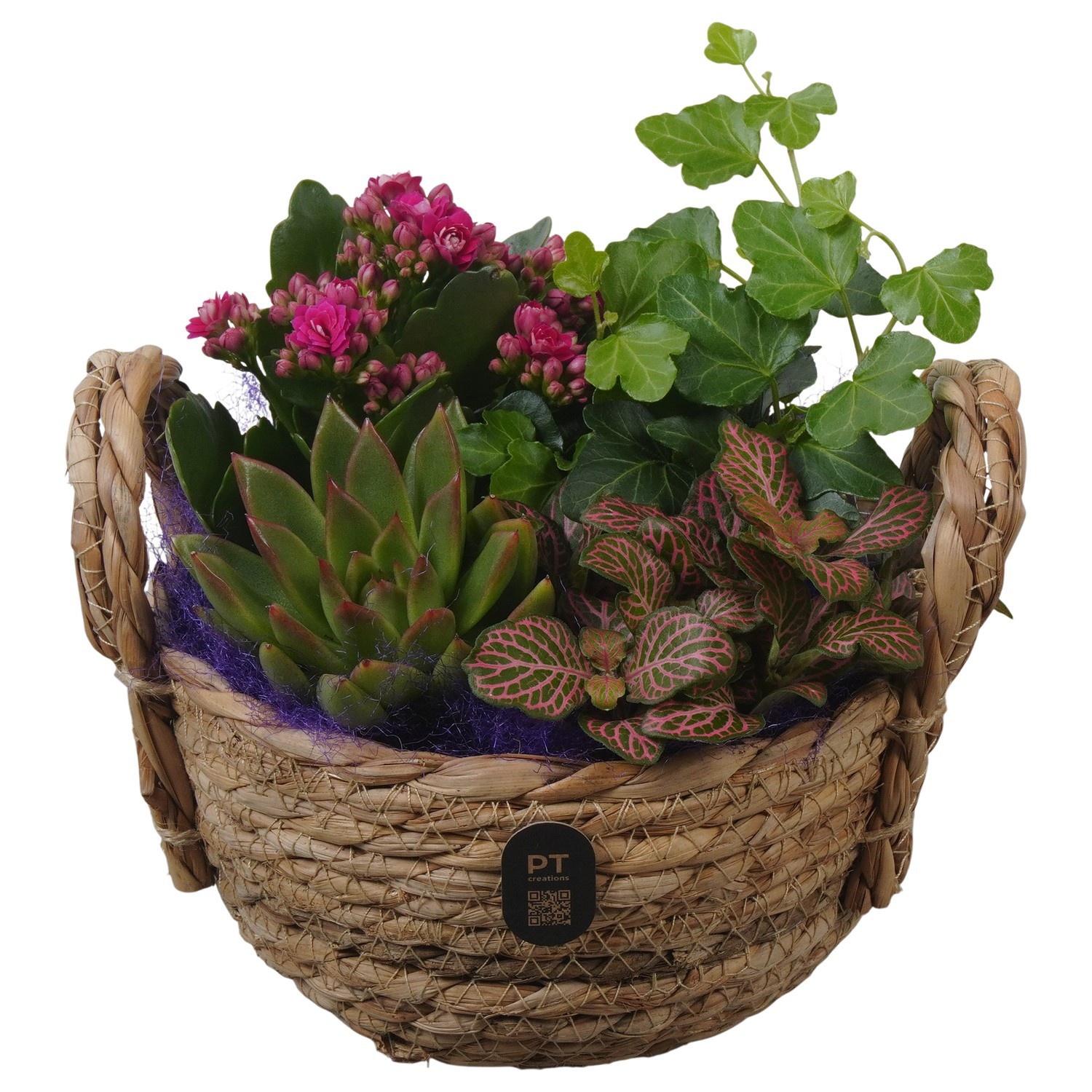 PTIB5236 Arrangement Indoor in rieten mand, D 15