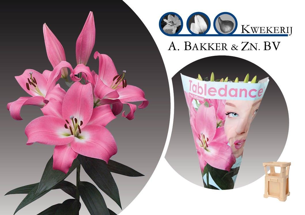 Лилия Тэйблдэнс 90, шт.