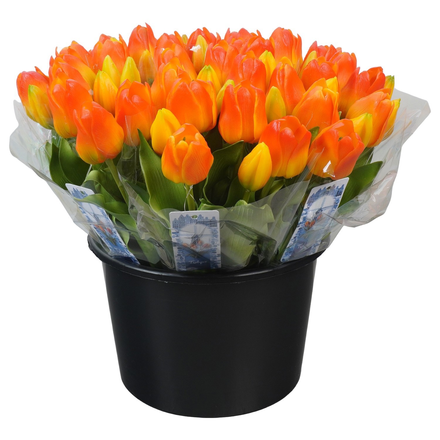PTRTT3123 Real Touch Tulips, D 20