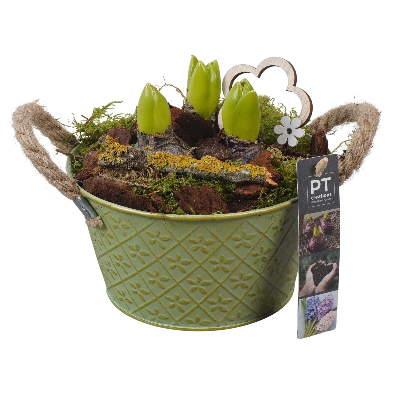 PTHC9133 Arrangement Hyacints in zink pot, D 18