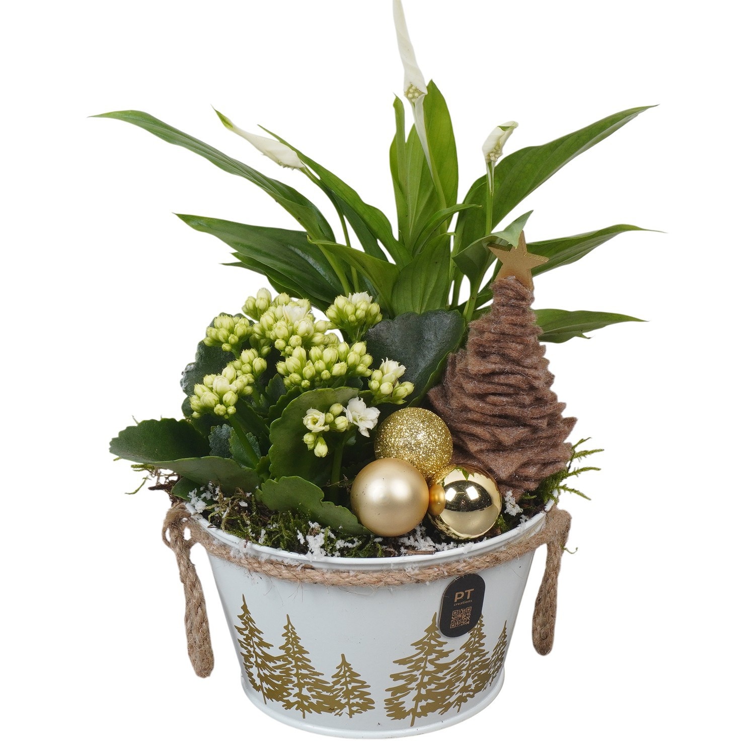 PTCHG4643 Arrangement Christmas Gold in metalen pot, D 15