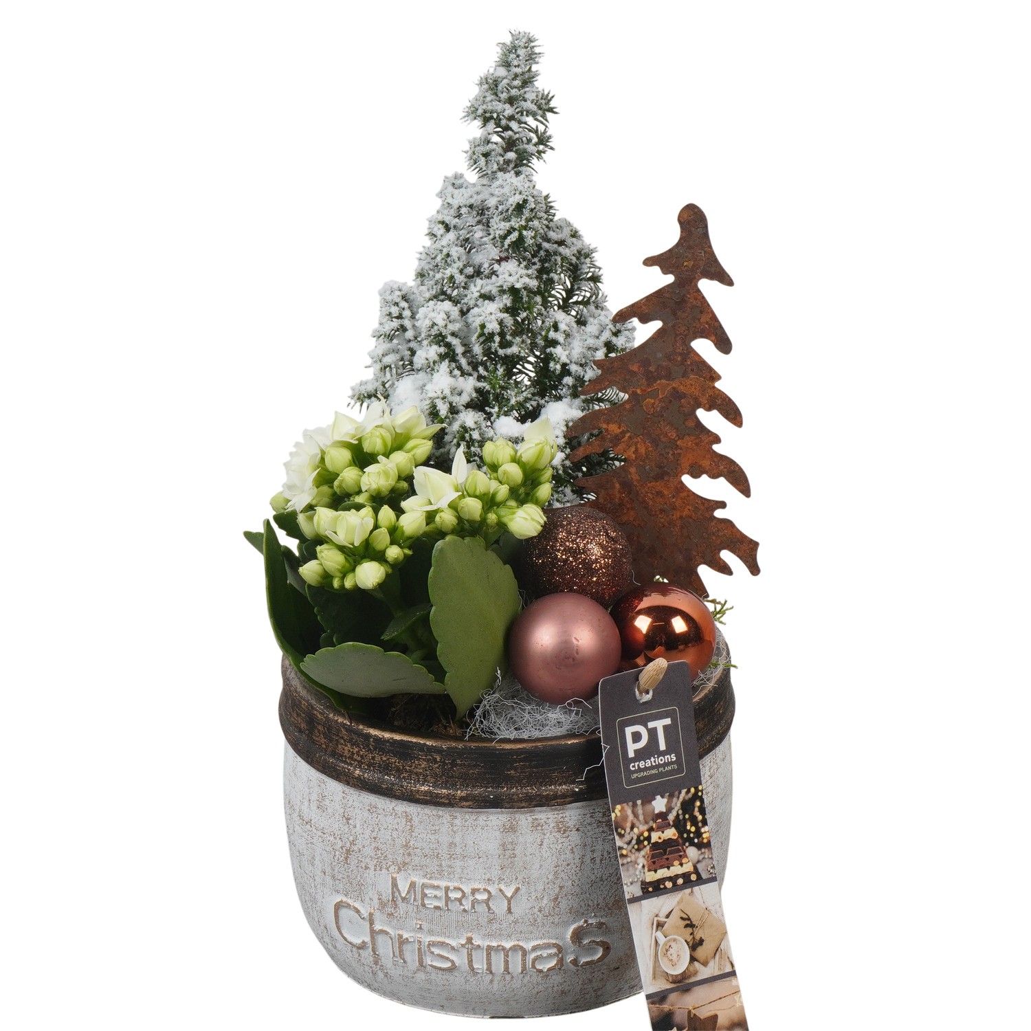 PTCHB9767 Arrangement Christmas Bronze in beton pot, D 13 cm