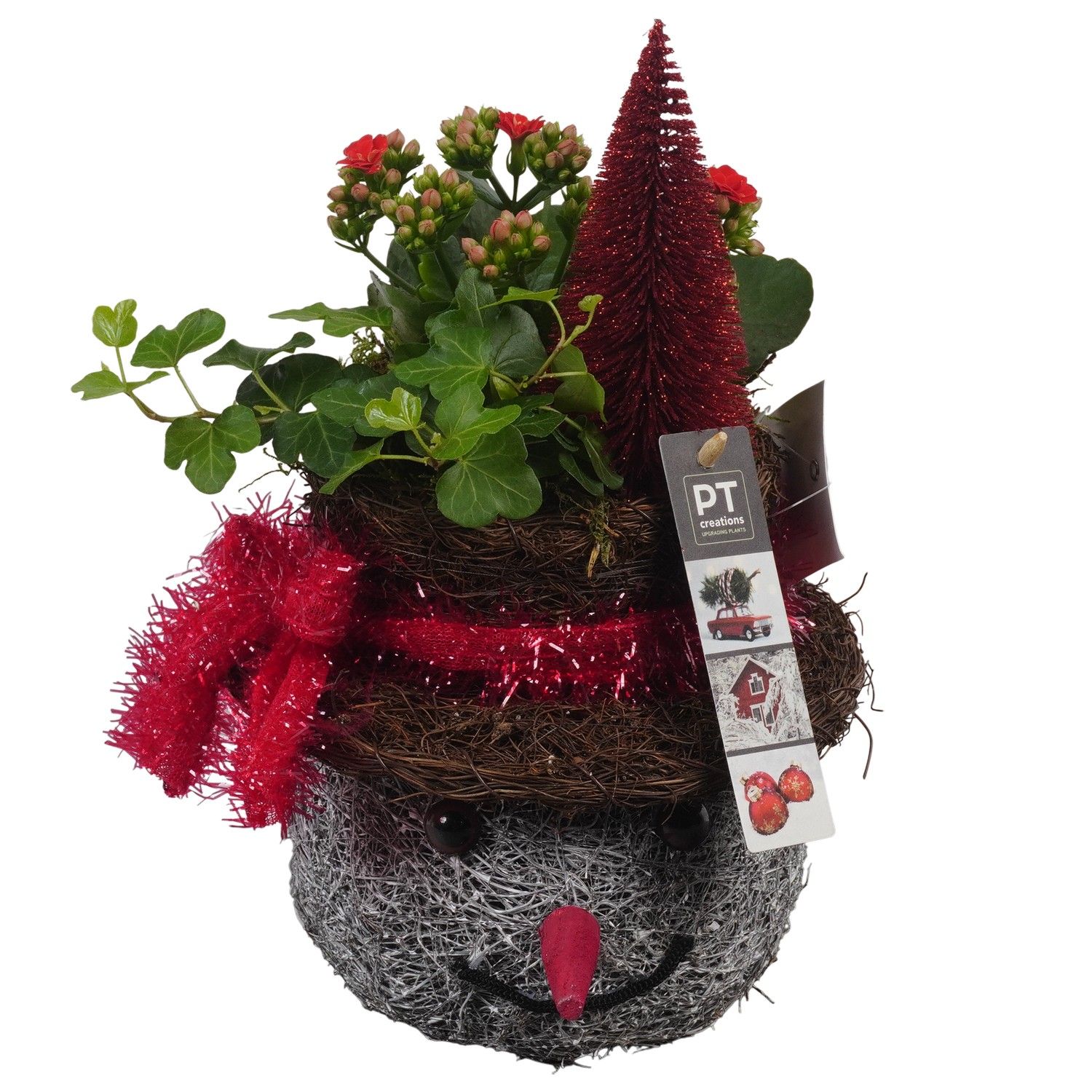 PTCHR7378 Arrangement Christmas Red in rieten mand, D 18 cm