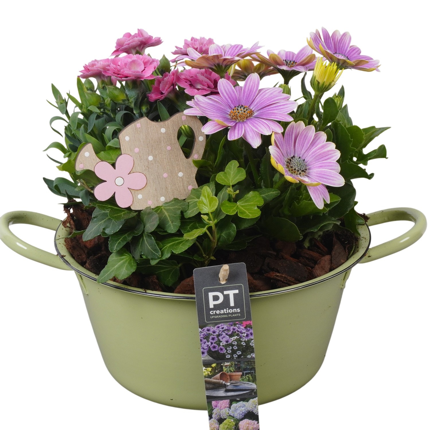 PTPP6845 Arrangement Patio in metalen schaal, D 19