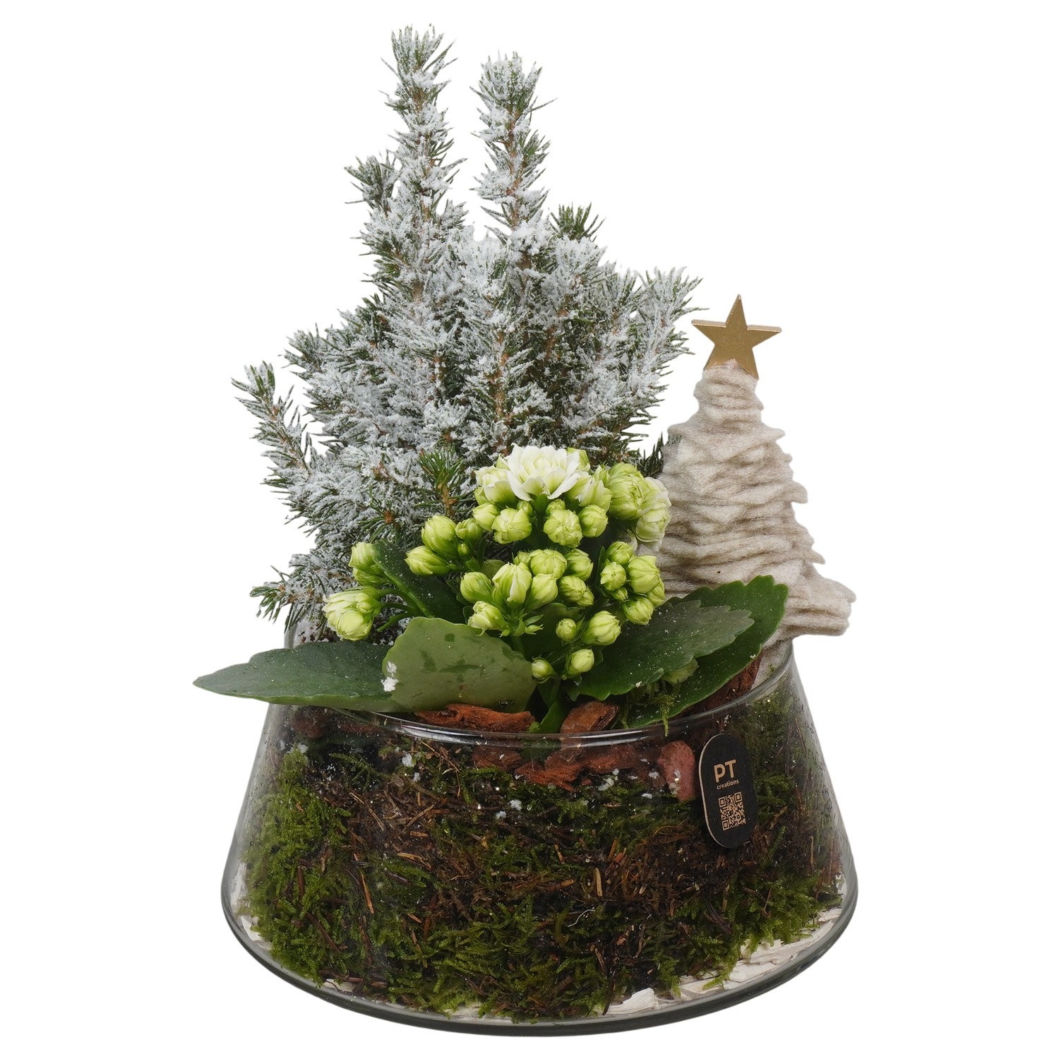 PTCHB5825 Arrangement Christmas Bronze in glas schaal, D 18