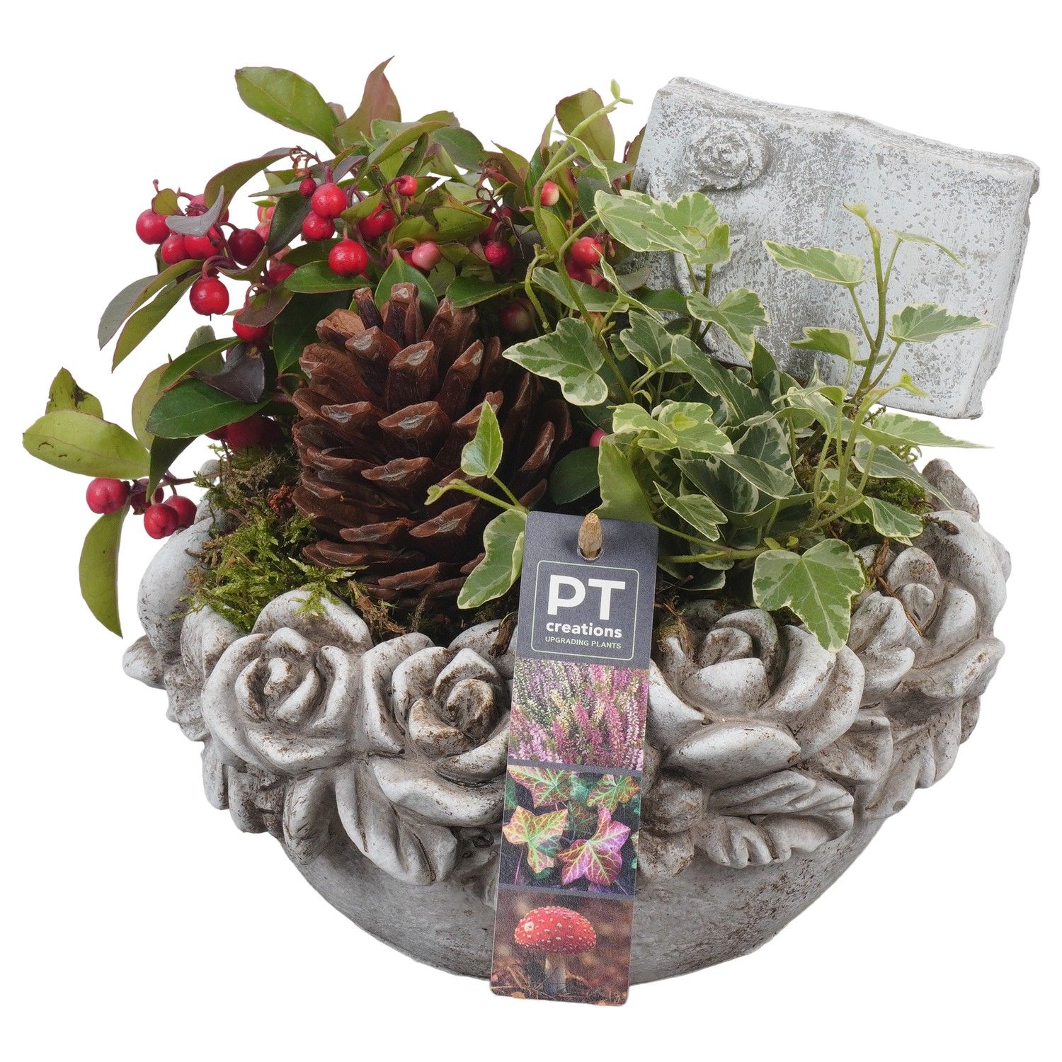 PTAH8626 Arrangement Allerheiligen in beton pot, D 22 cm PTAH8626 Arrangement Allerheiligen in beton pot, D 22 cm