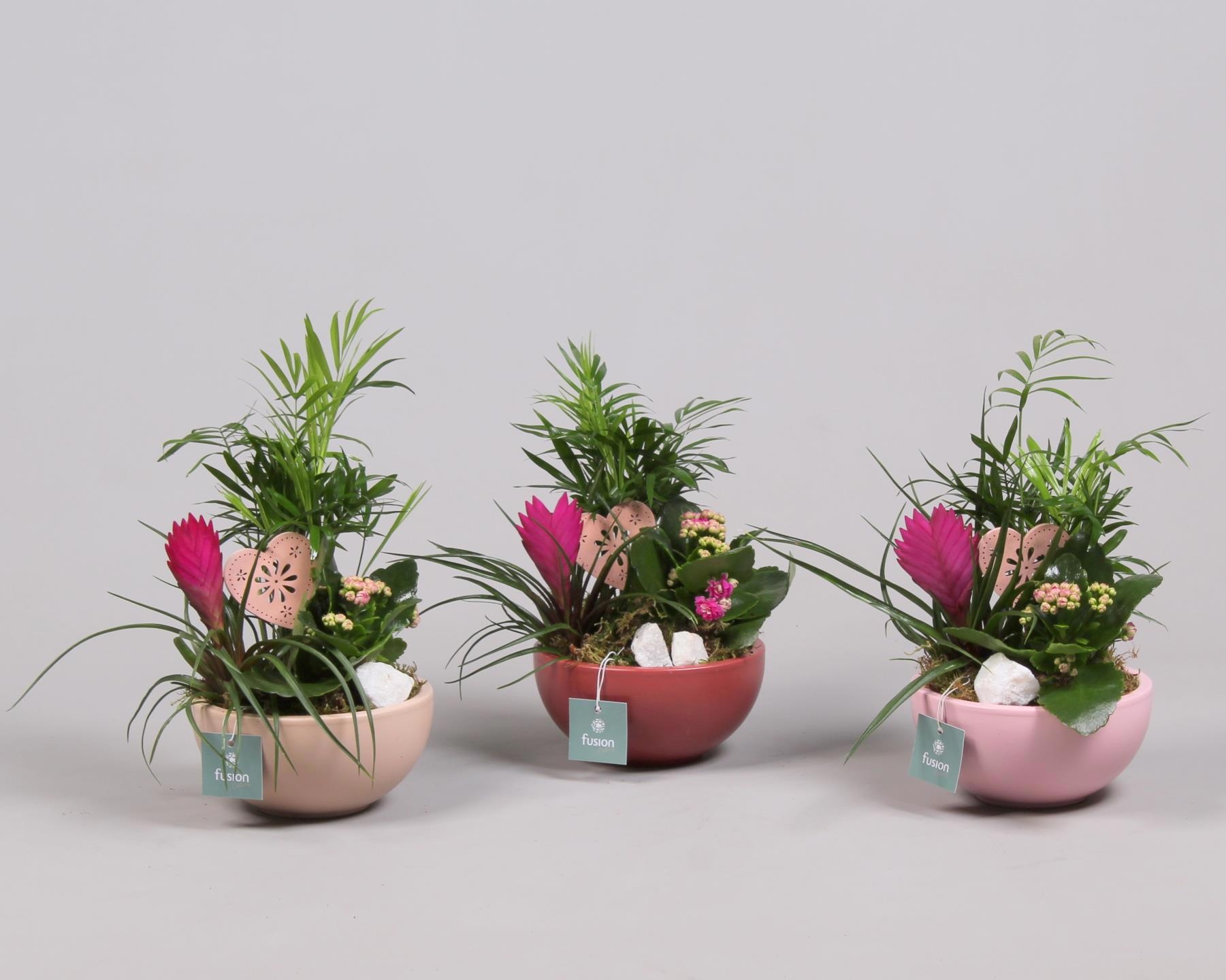 Schaal keramiek Moon Small Love met arrangement, D 15