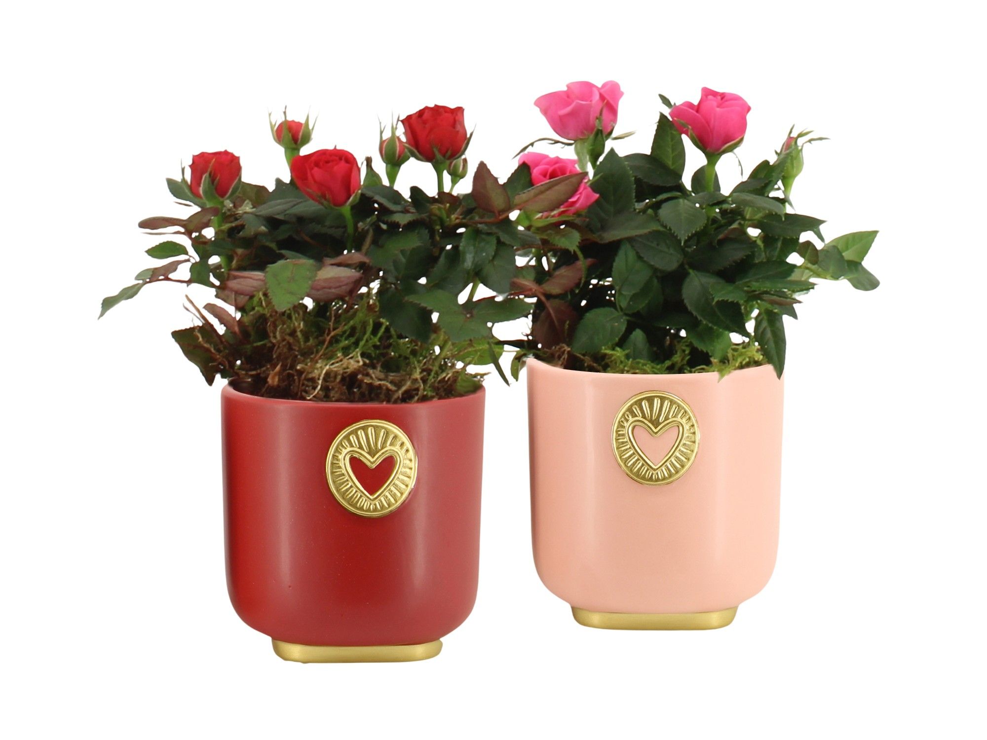 21788: Lovess arrangement, D 8