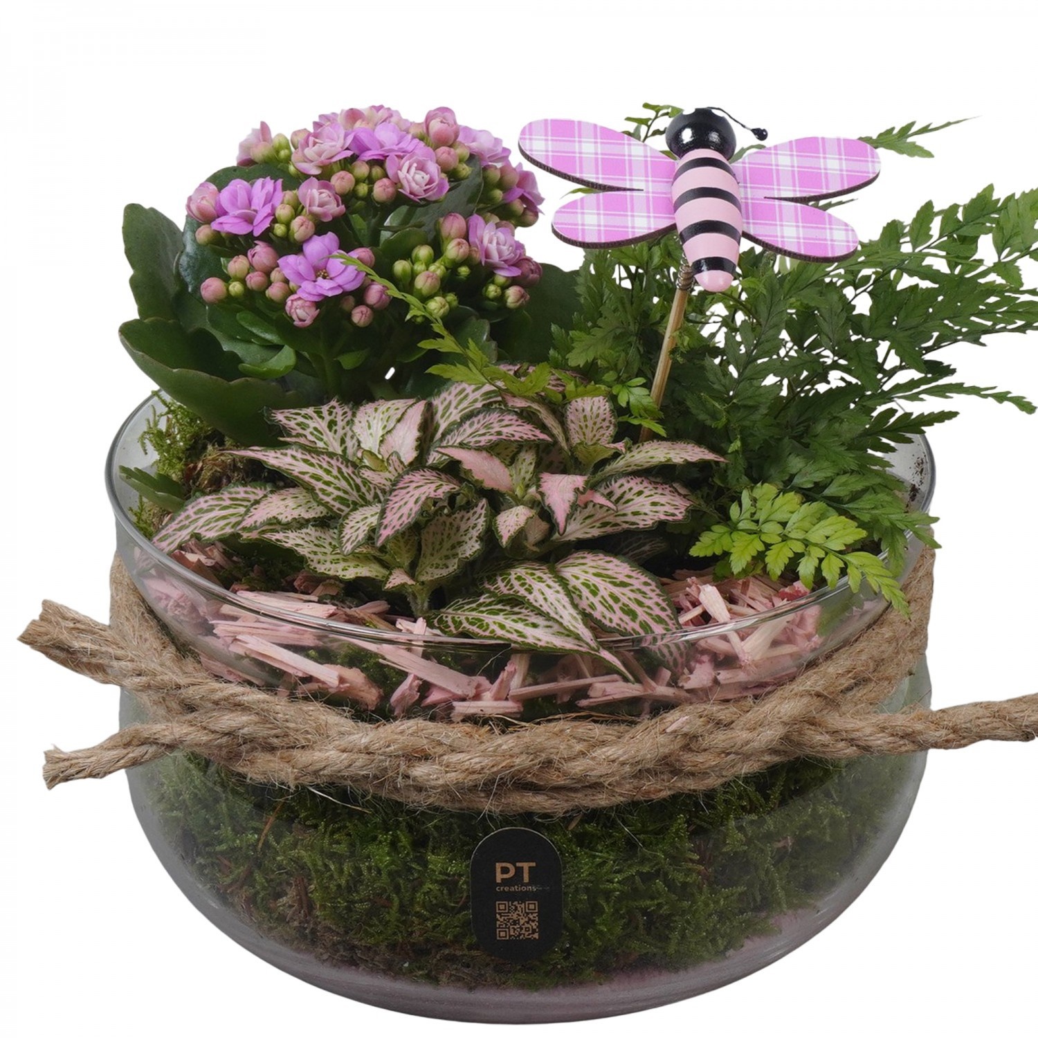 PTIG2629 Arrangement Indoor in glas schaal, D 19