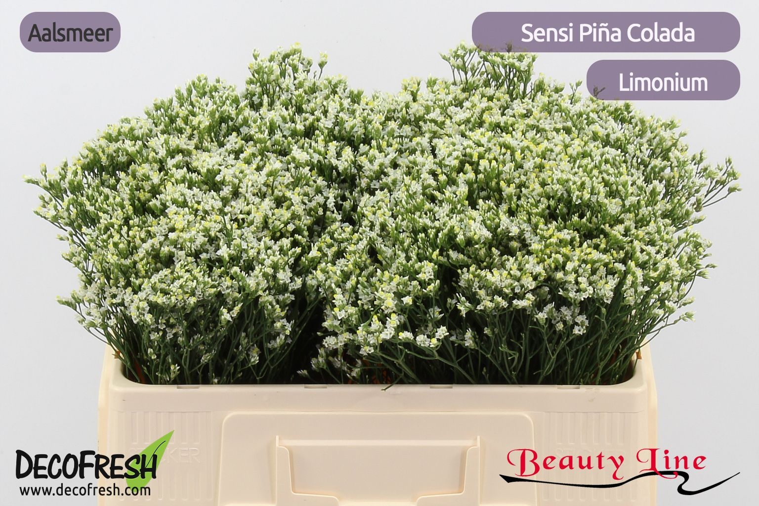 Лимониум Сенси Пина Колада 50, шт.