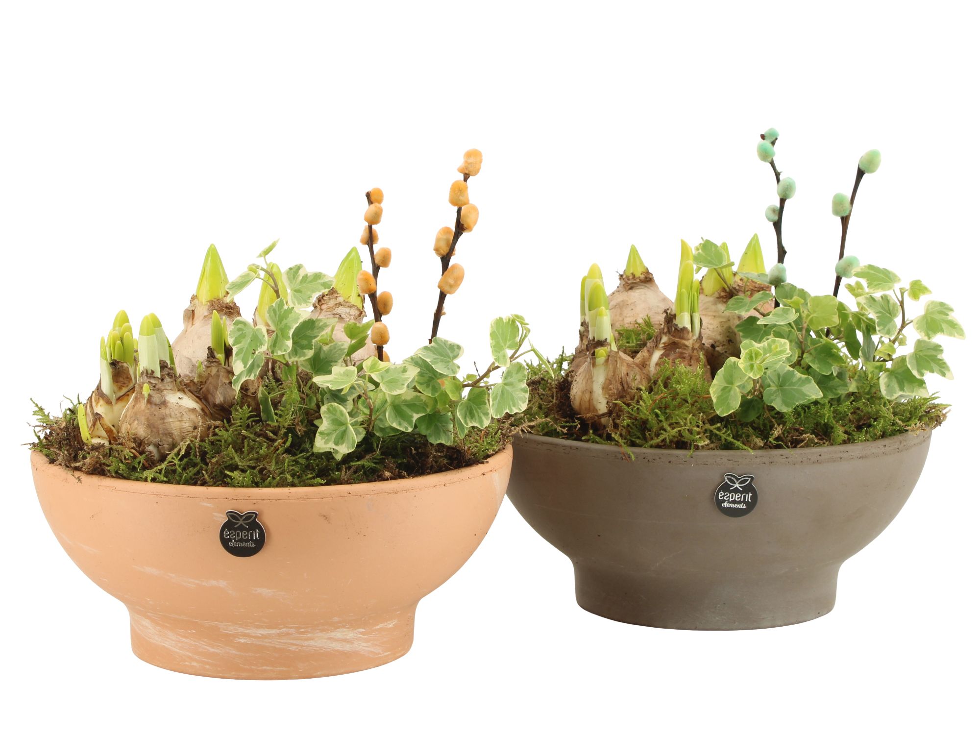11674: Outdoor spring arrangement, D 23 cm