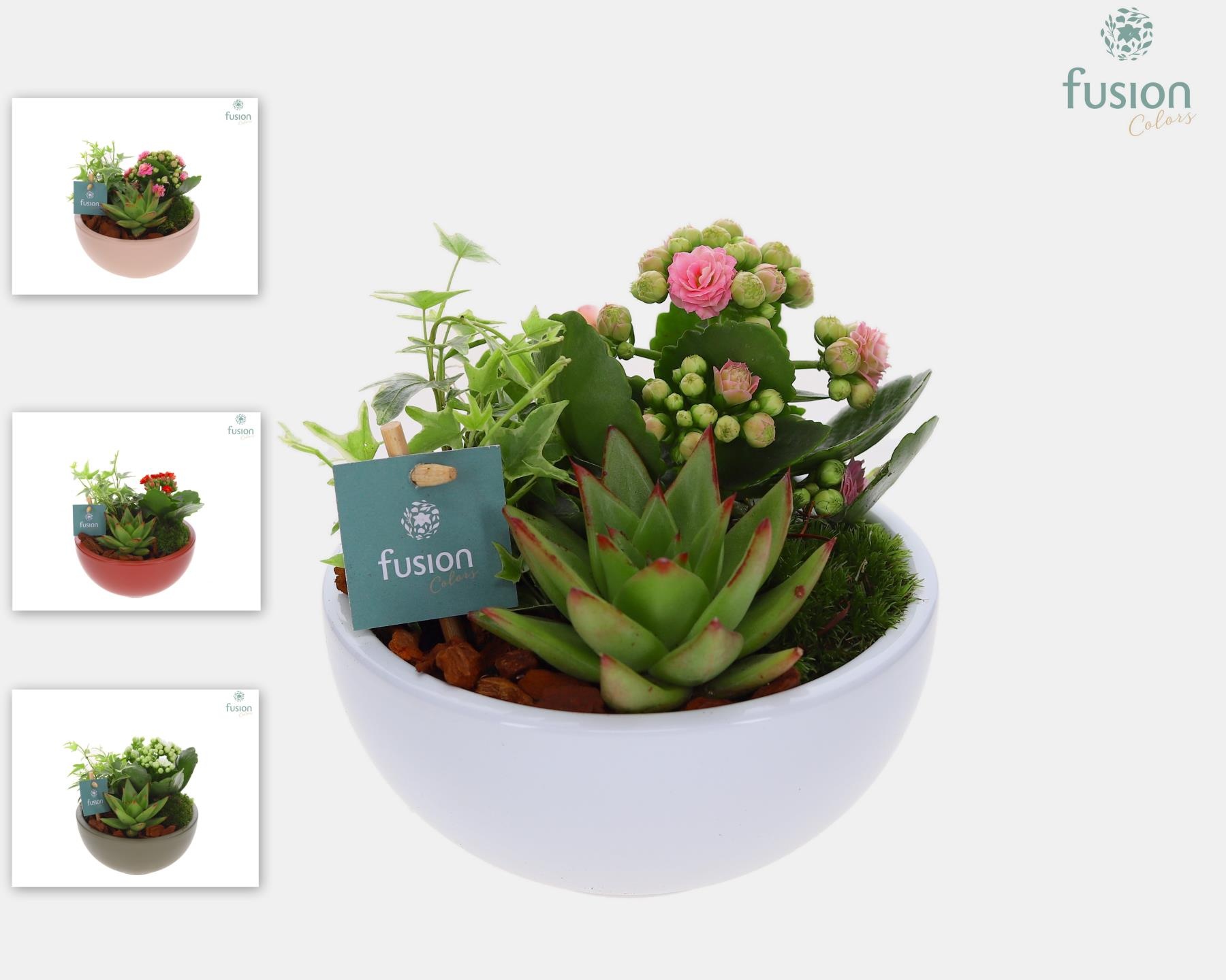 Schaal keramiek Moon Small div. kleuren met Arrangement, D 15