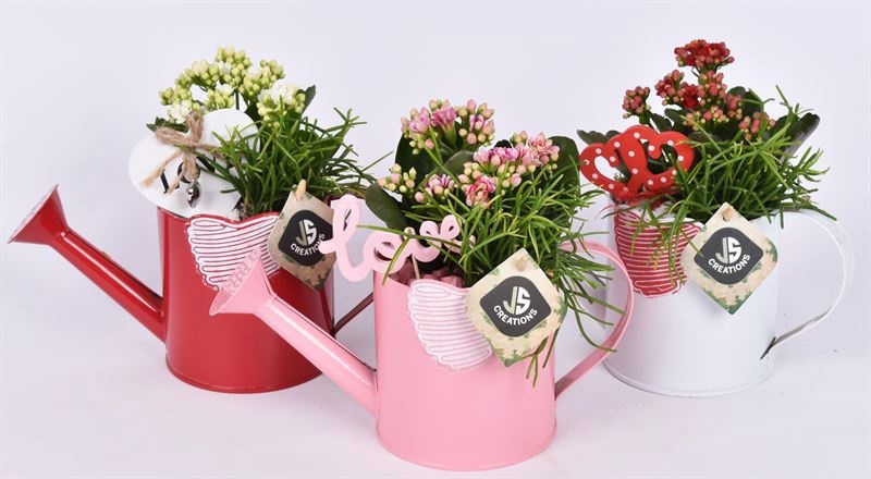 Zink gieter mix hart 10cm, D 10