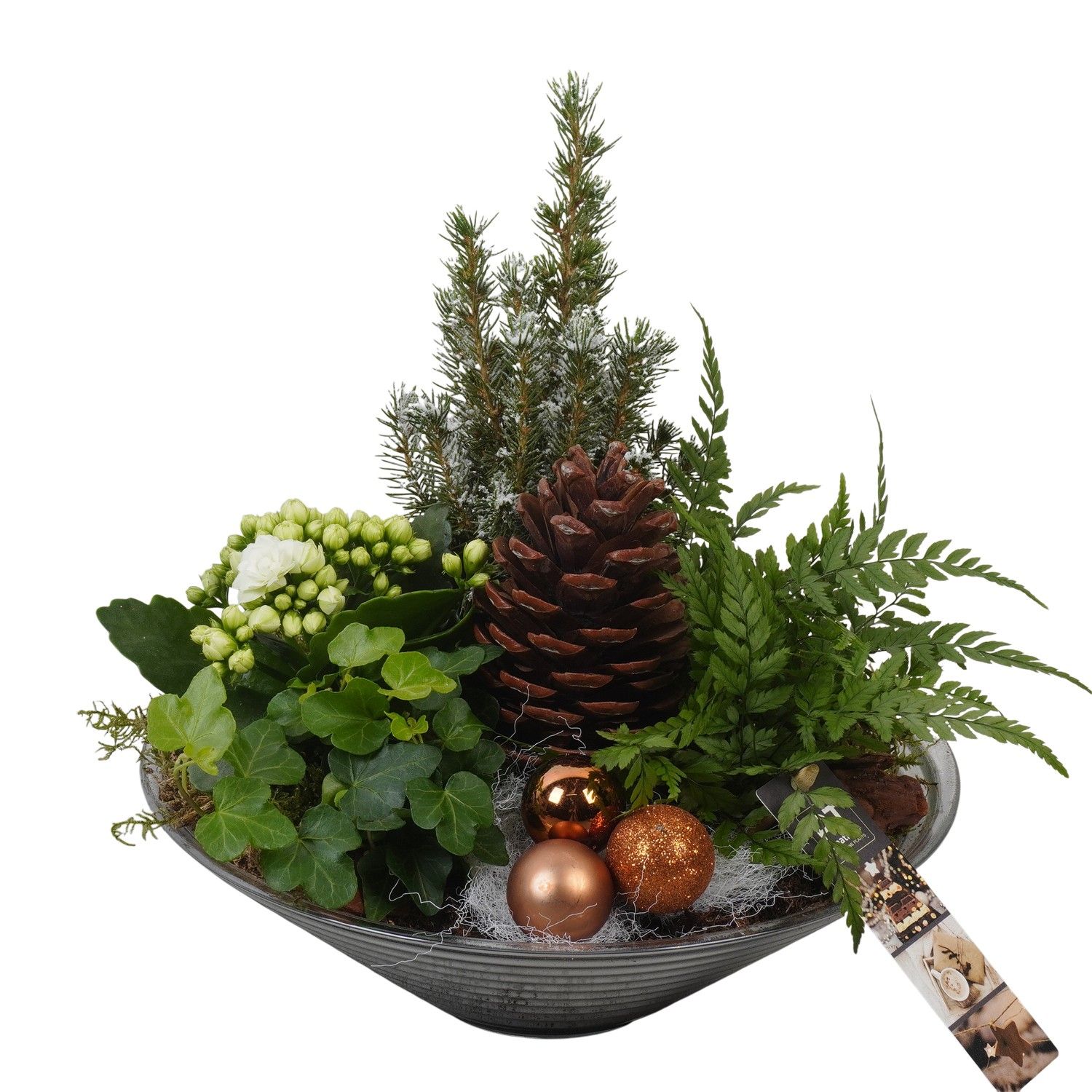 PTCHB9842 Arrangement Christmas Bronze in glas schaal, D 26 cm