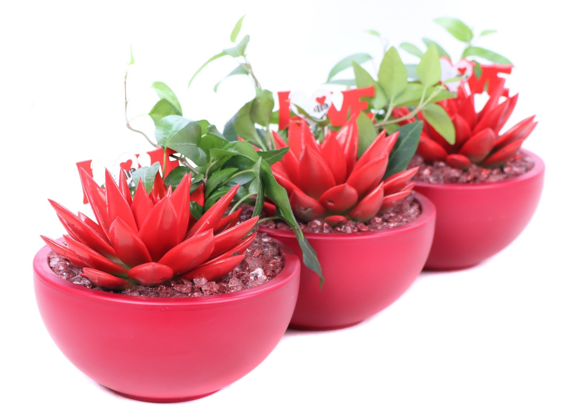 Opgemaakte valentijn schaal met geverfd eheveria 6 m en hedera, D 15