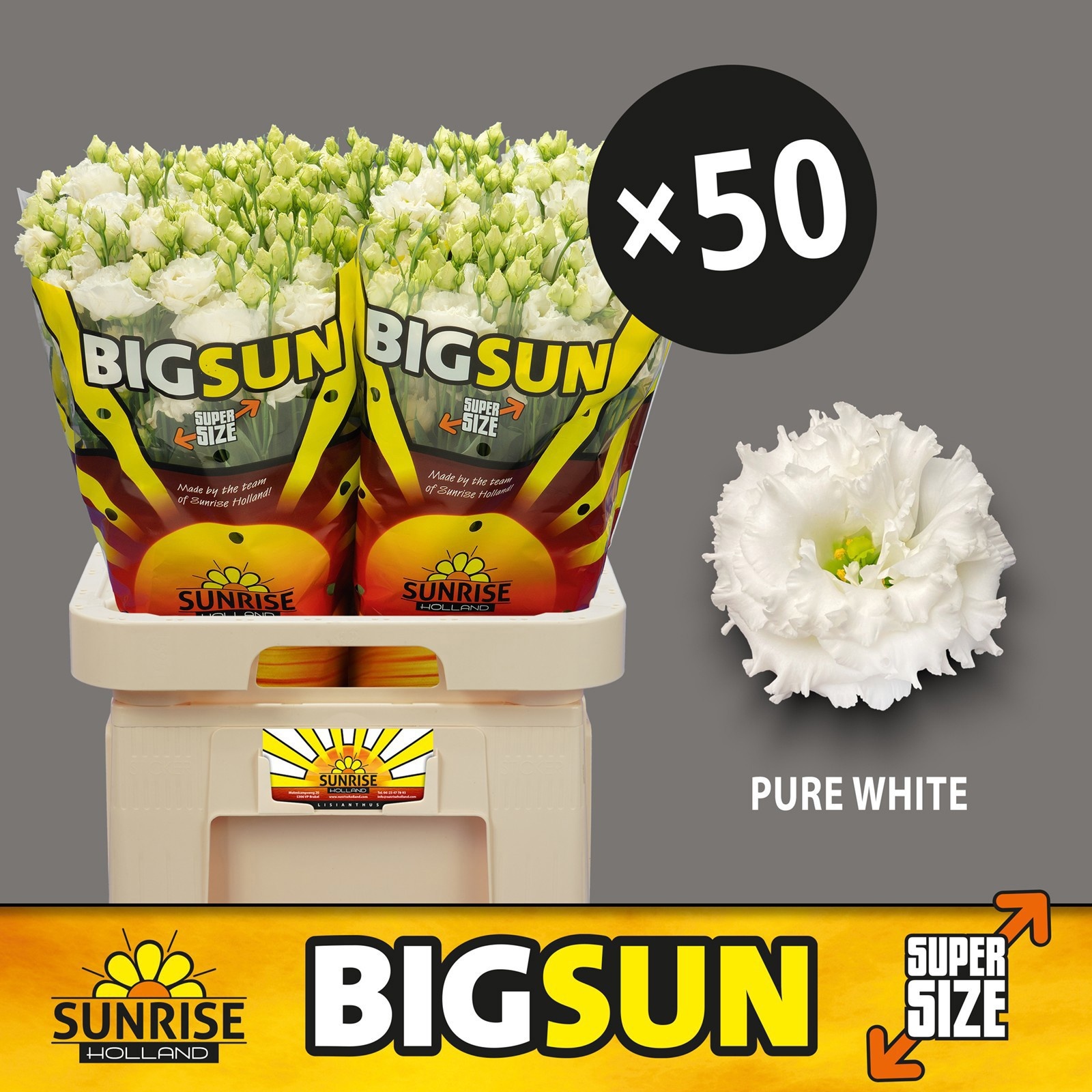 Эустома Алисса Пьюр Вайт 70 (бел.), шт.