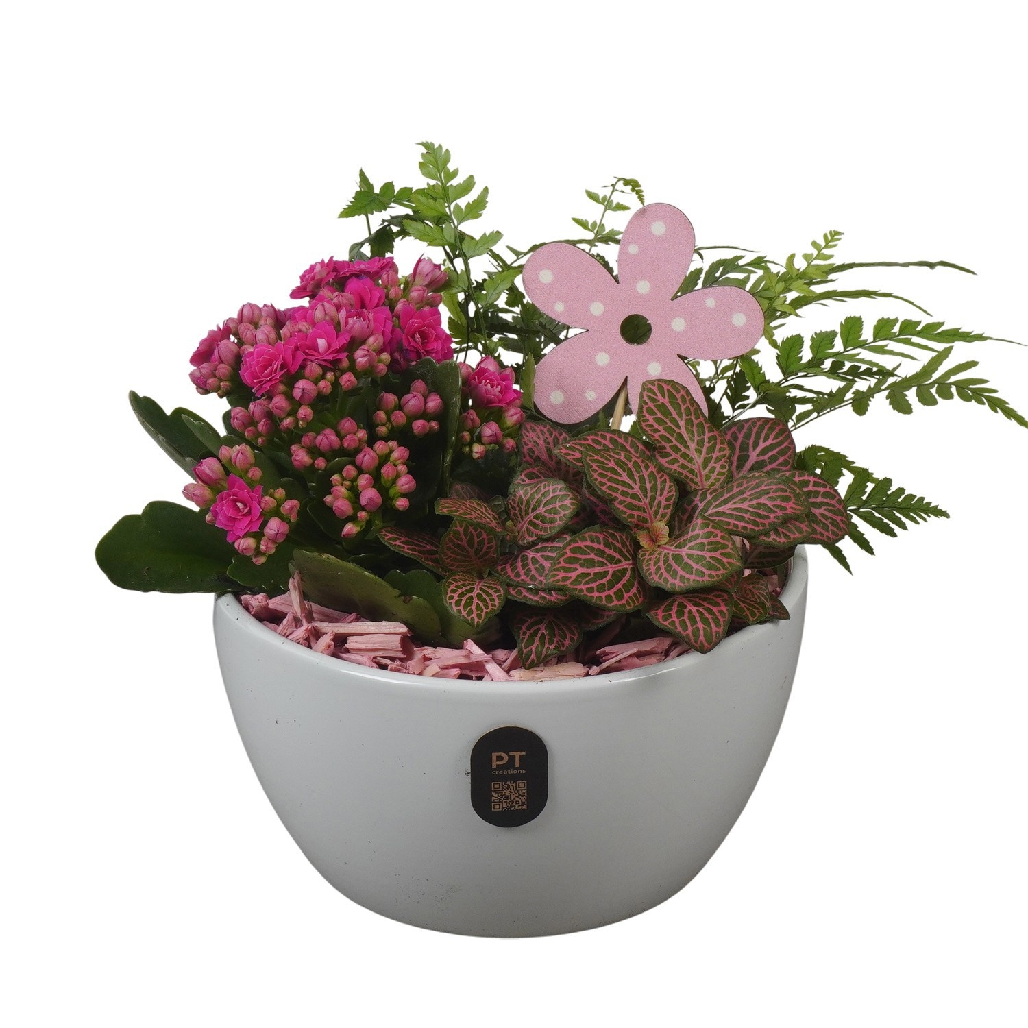 PTIB5151 Arrangement Indoor in keramiek schaal, D 15