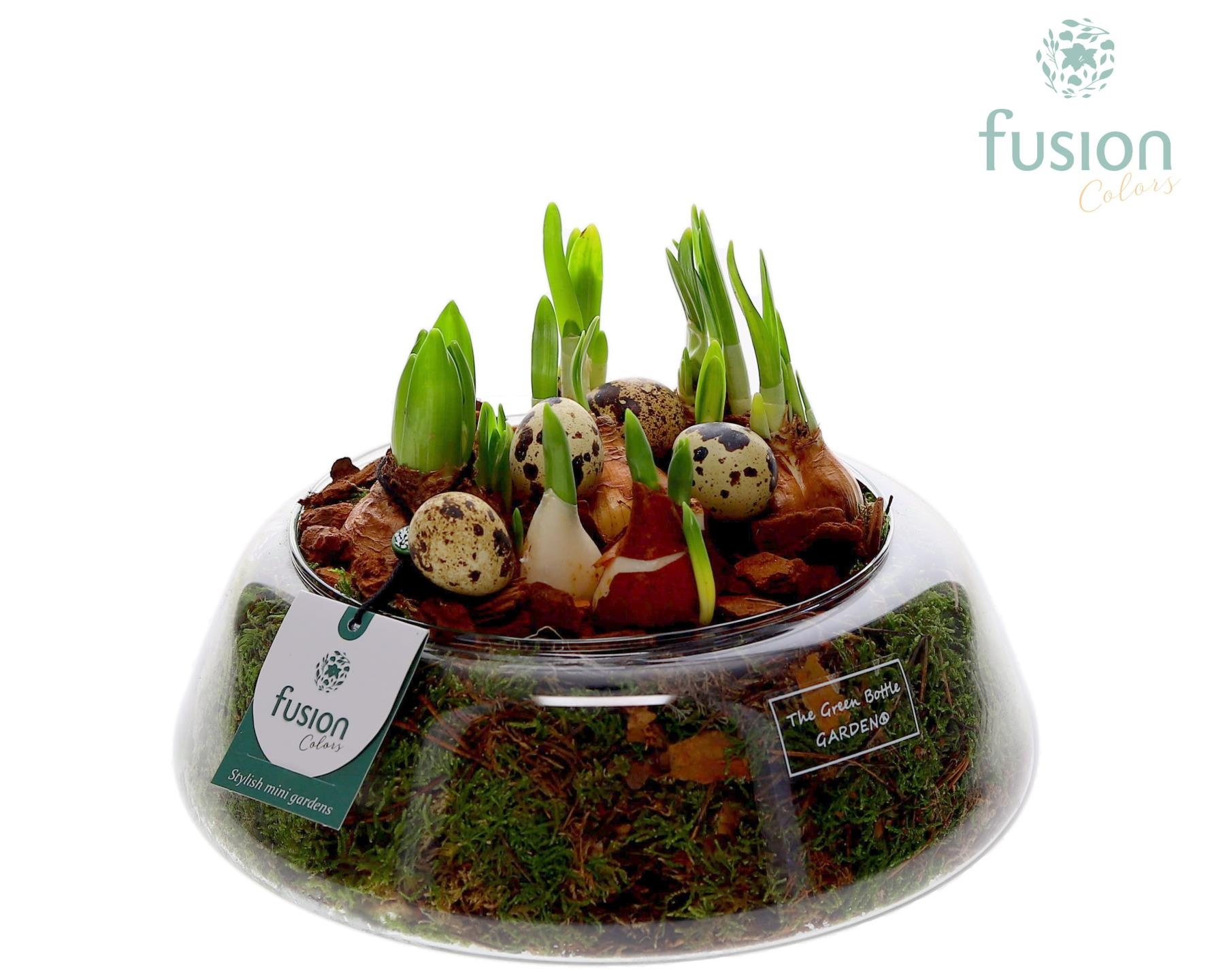 Green Bottle Christel Large Pasen met Bollen mix, D 24