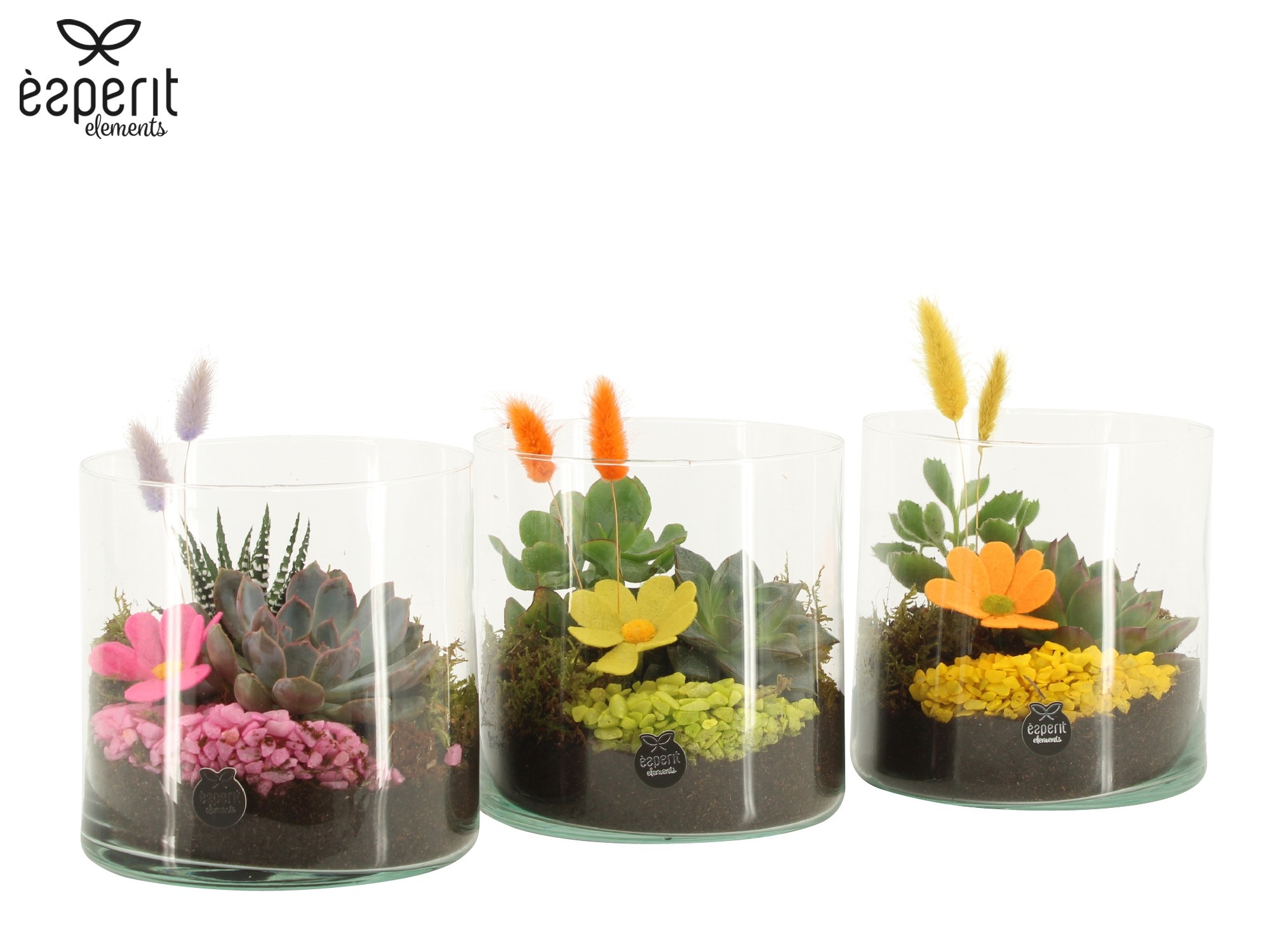 31749: Reinvention arrangement, D 15