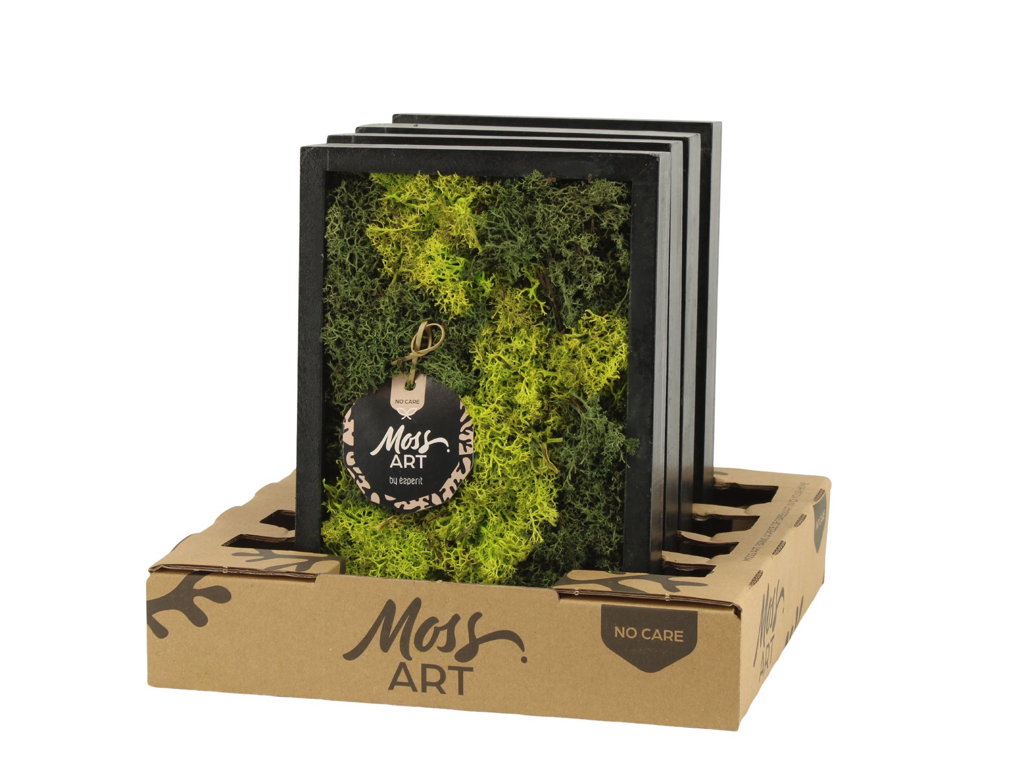 90787: Moss Art Rectangular D24, D 24