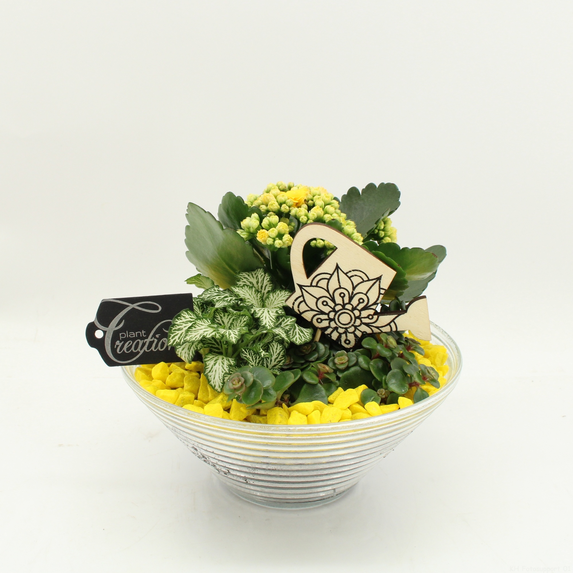 FDCR-2601G Basic Fundamentals, D 20