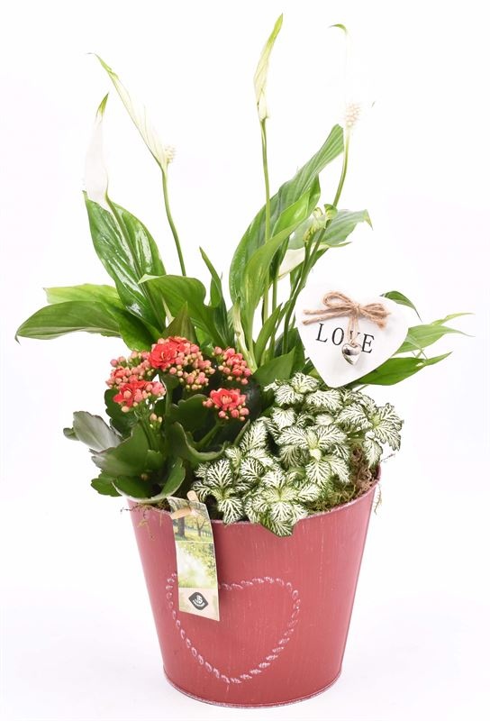 Zink pot rood met hart 18cm, D 18