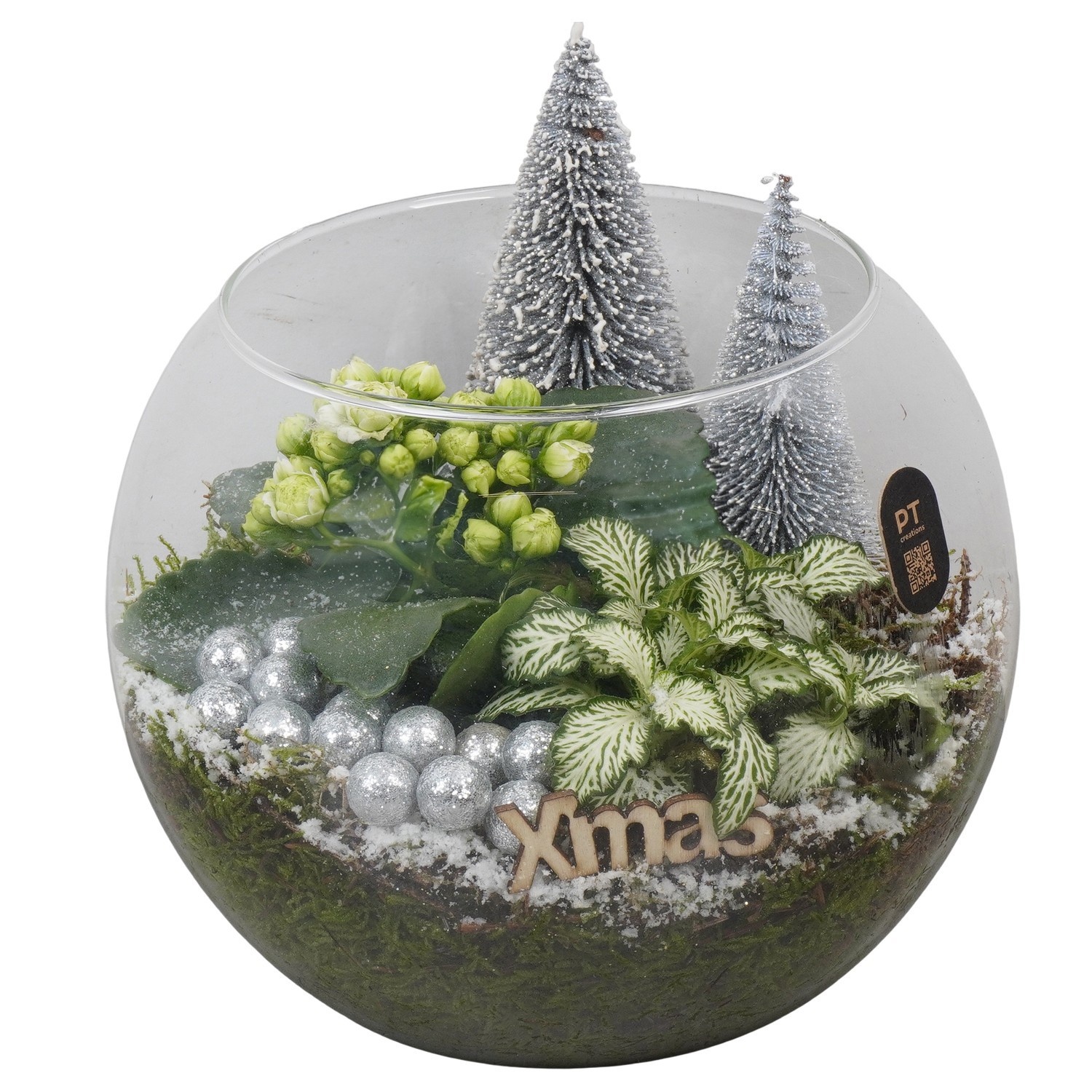 PTCHW7922 Arrangement Christmas White in glazen vissenkom, D 20