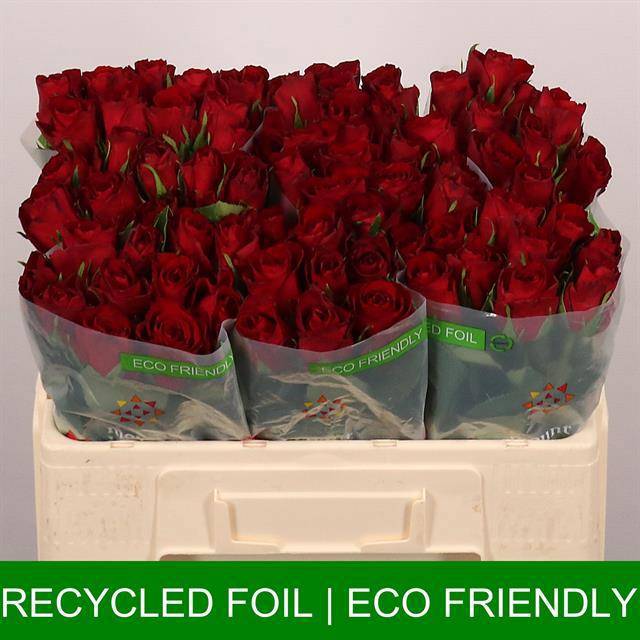 Роза од. Мадам Рэд 50, шт.