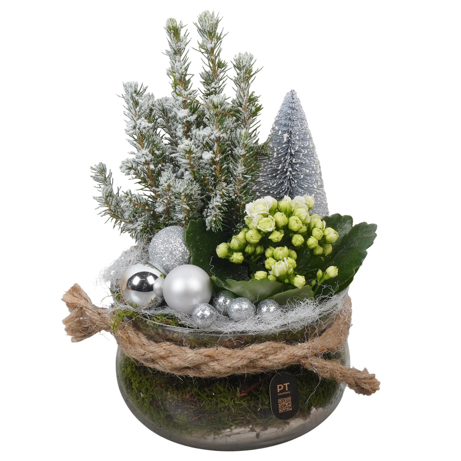 PTCHW7907 Arrangement Christmas White in glas schaal, D 16