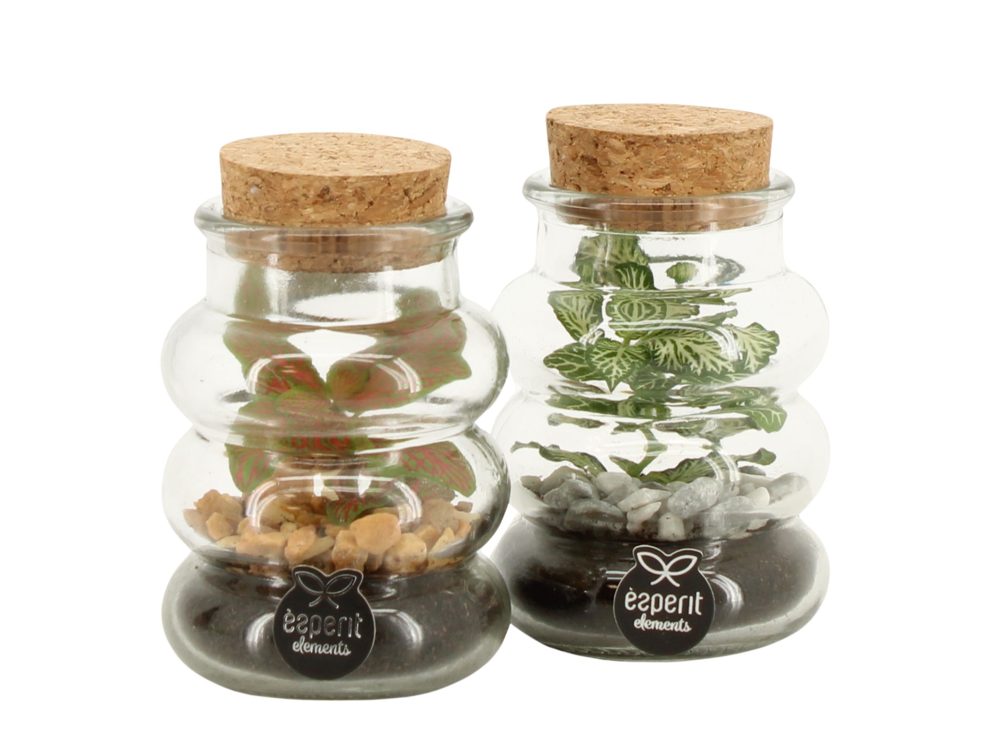 90707: Terrarium arrangement, D 7