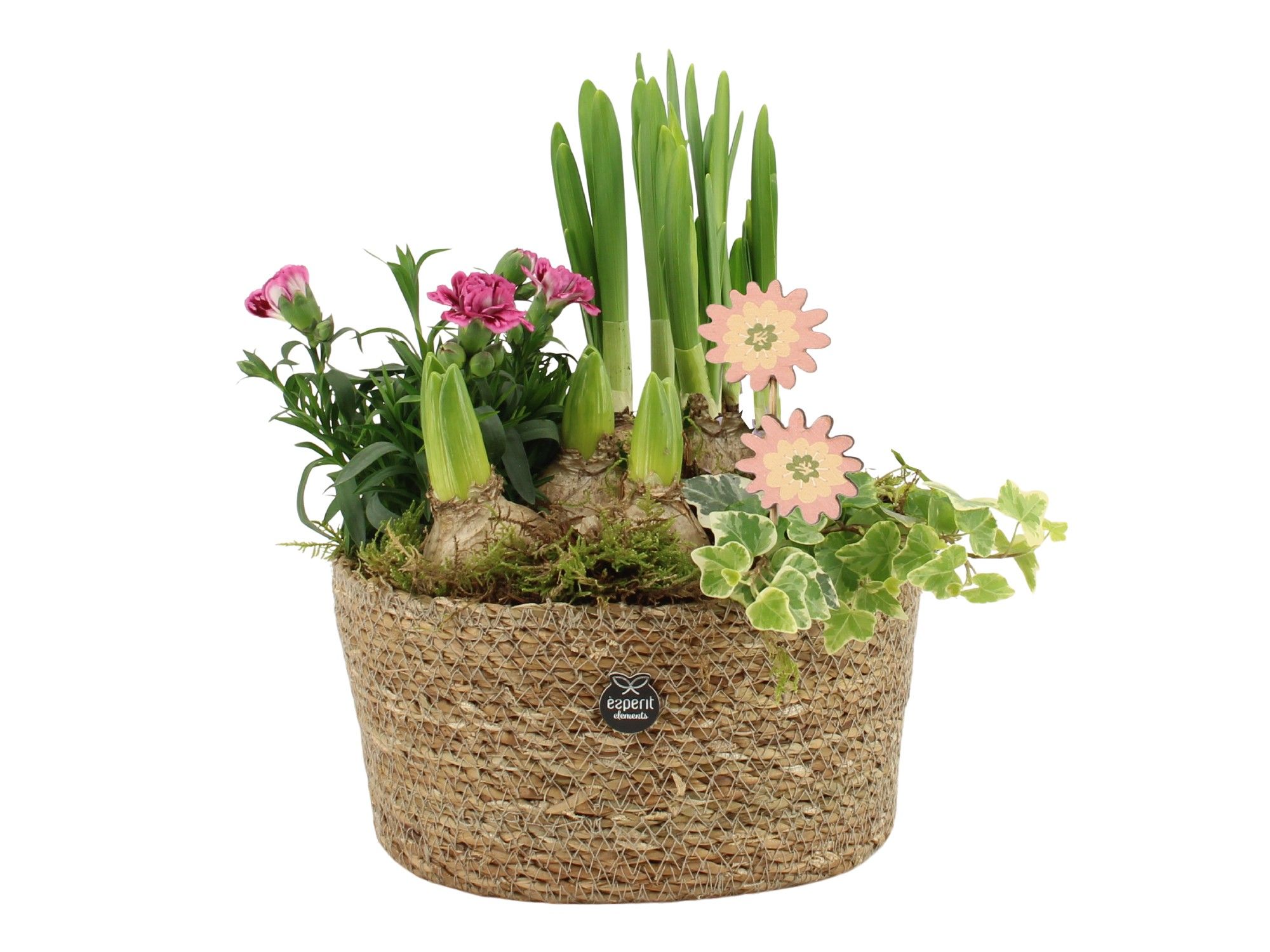 11681: Outdoor spring arrangement, D 22 cm