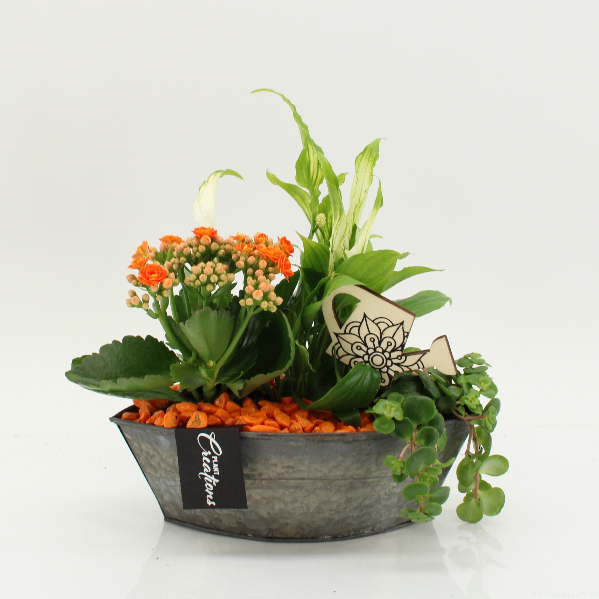 FDCR-2614OR Basic Fundamentals, D 22