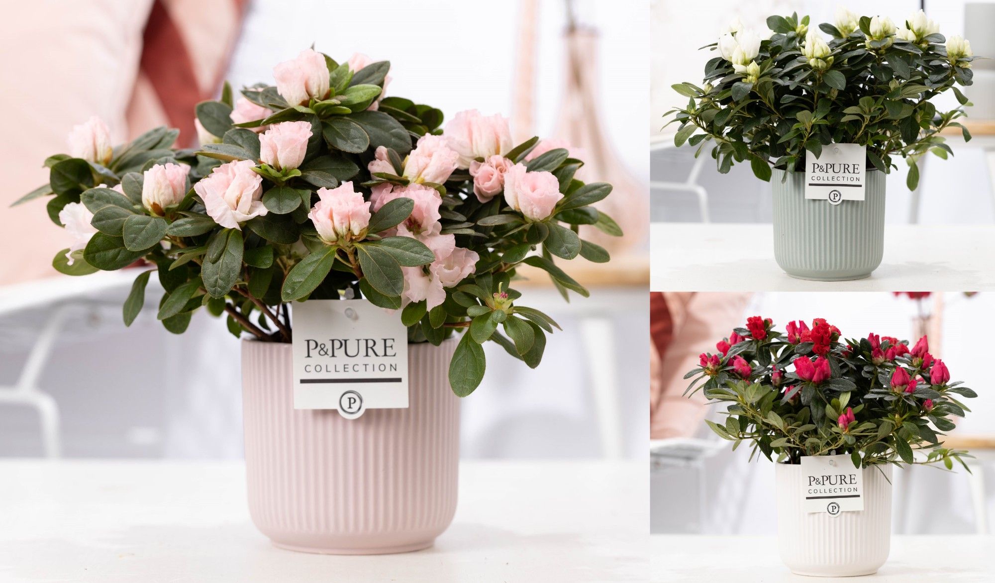 Azalea P&PURE Collection Sophie keramiek, D 12