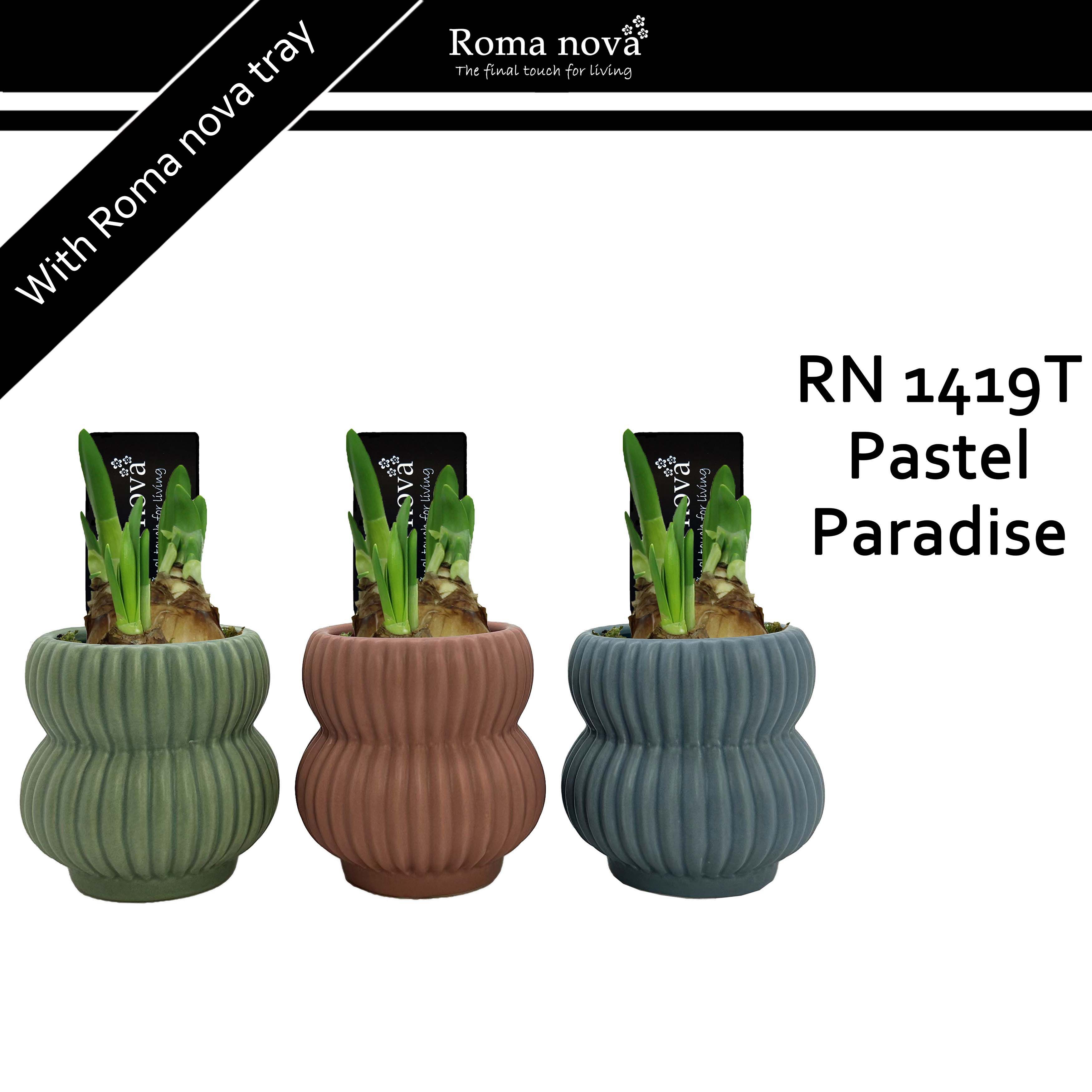 1419T - Pastel Paradise (Tete a Tete), D 8