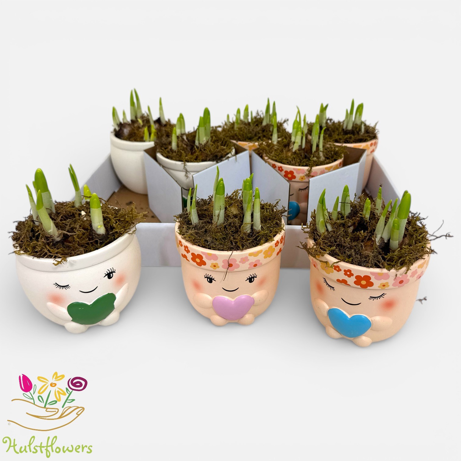 Arrangement Narcis Tete a tete in liefdespot, D 11