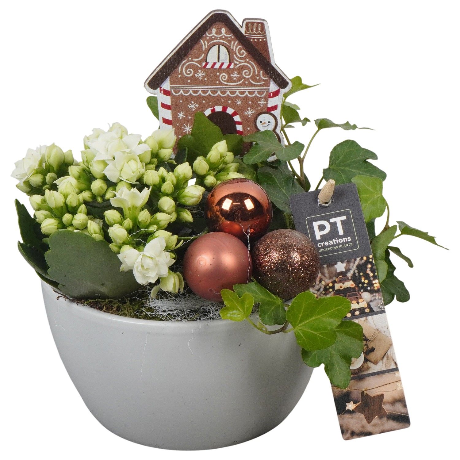 PTCHB9744 Arrangement Christmas Bronze in keramiek schaal, D 14 cm