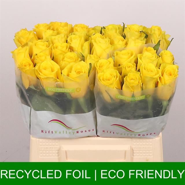 Роза од. Голдфинч 40, шт.