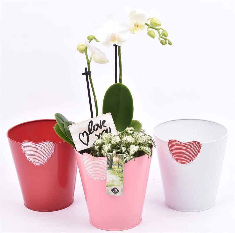 Zink pot bloemdecor k.mix 17cm, D 15